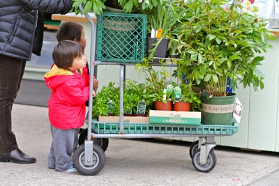 Moms-Helpers