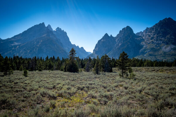 Grand Teton Park-3