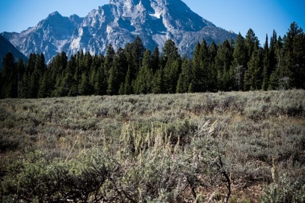 Grand Teton Park-5