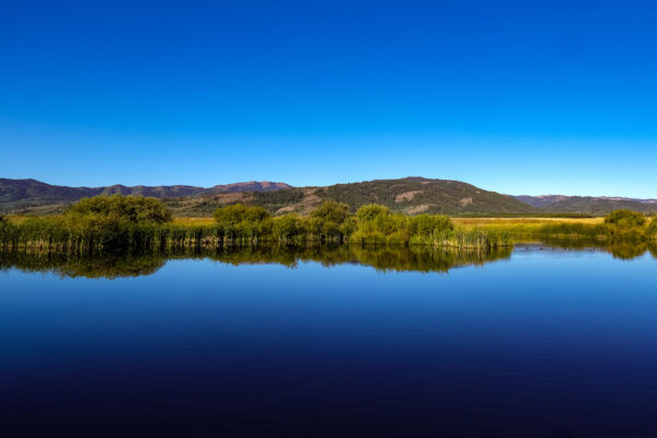 Grand Teton Park-6